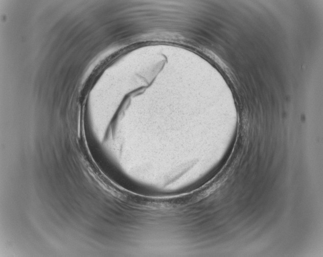 X0000085801123200704131914