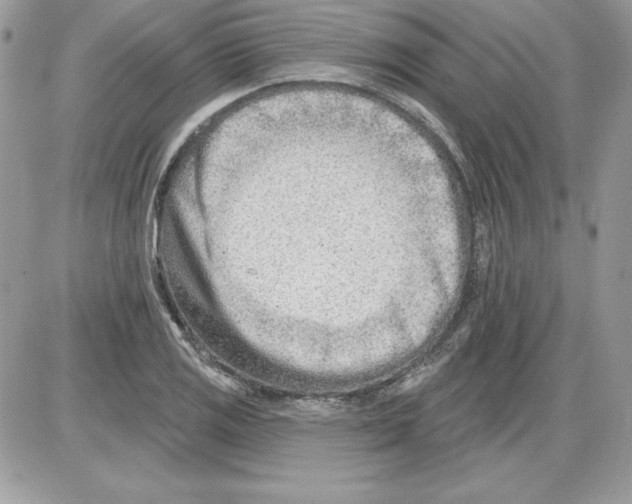 X0000085801125200704131914