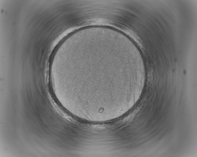 X0000085801126200704131914