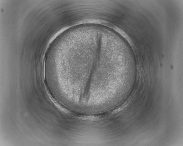 X0000085801127200704131914