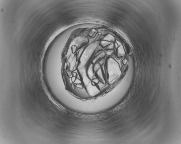 X0000085801128200704131914