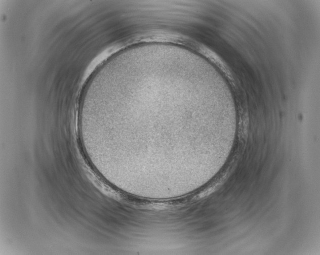 X0000085801130200704131914