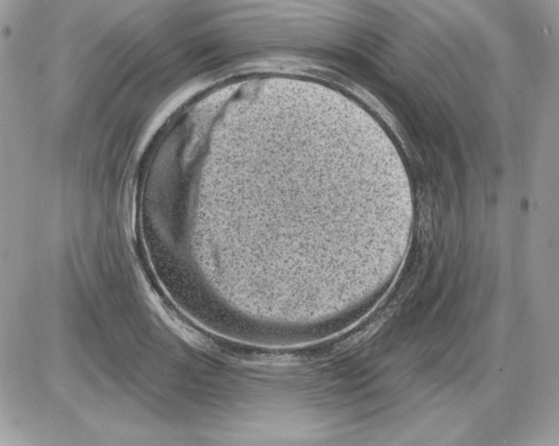 X0000085801131200704131914