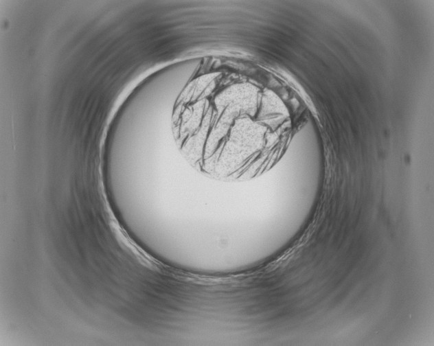 X0000085801132200704131914