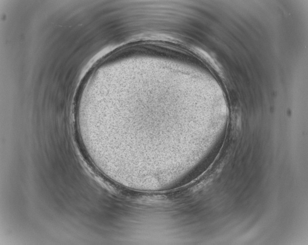 X0000085801133200704131914