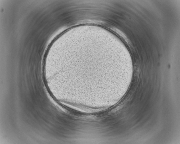 X0000085801135200704131914