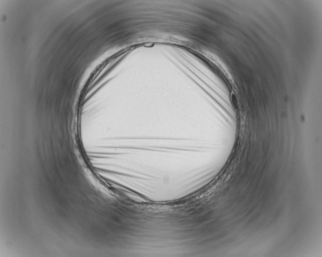 X0000085801136200704131914