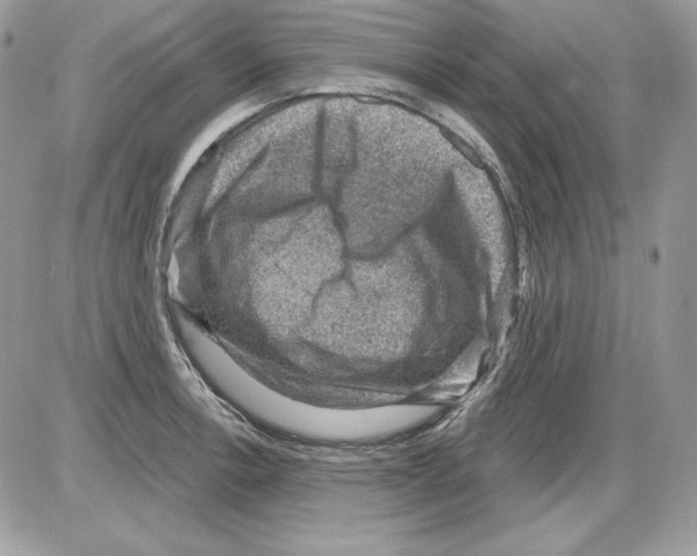 X0000085801138200704131914