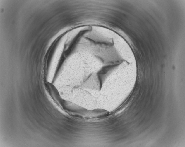 X0000085801142200704131914