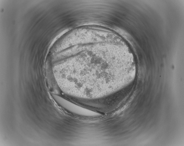 X0000085801145200704131914