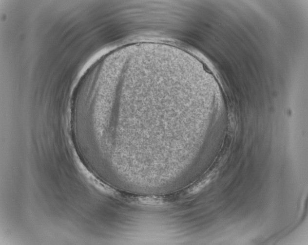 X0000085801147200704131914