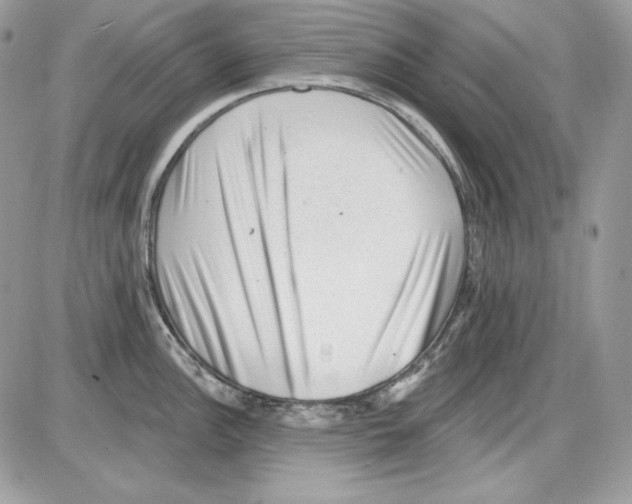 X0000085801148200704131914