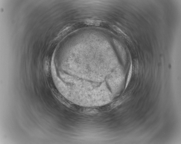 X0000085801154200704131913