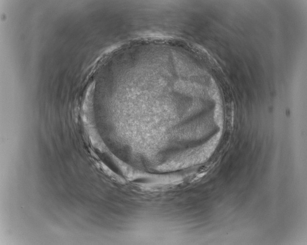 X0000085801157200704131913