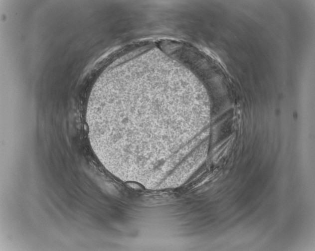 X0000085801159200704131913