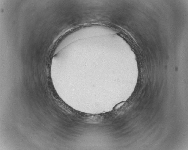 X0000085801160200704131913