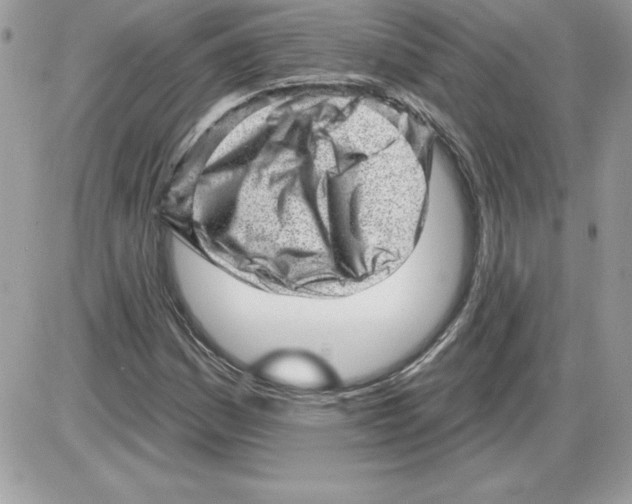 X0000085801161200704131913