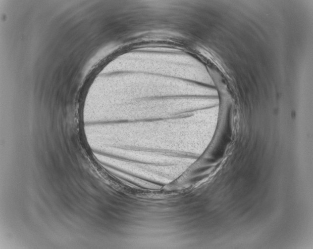 X0000085801164200704131913