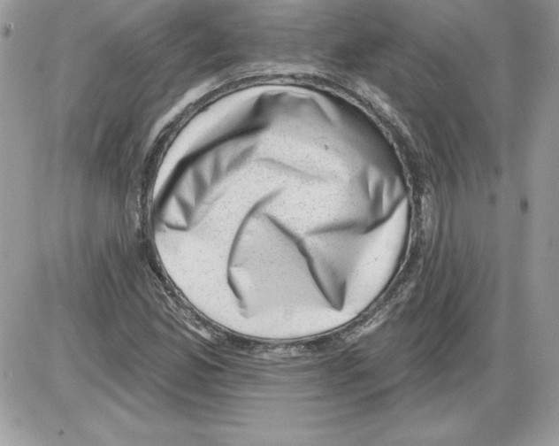 X0000085801165200704131913