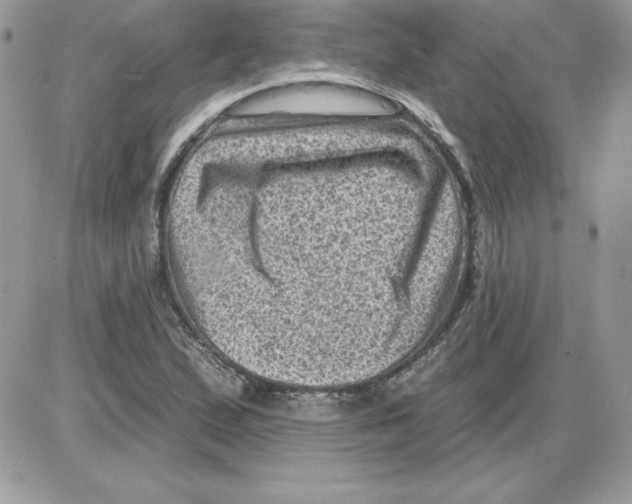 X0000085801167200704131913