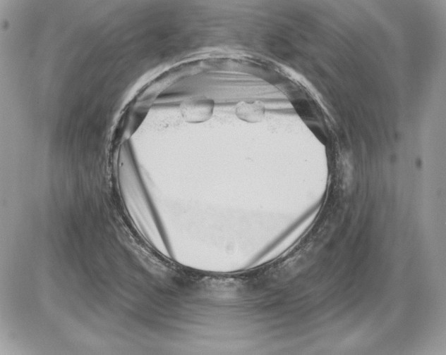 X0000085801168200704131913