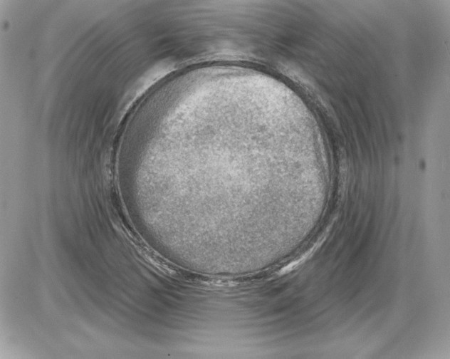 X0000085801170200704131913