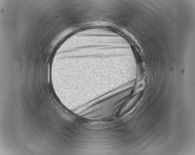 X0000085801171200704131913