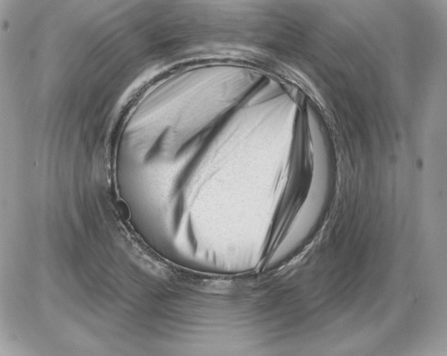 X0000085801172200704131913