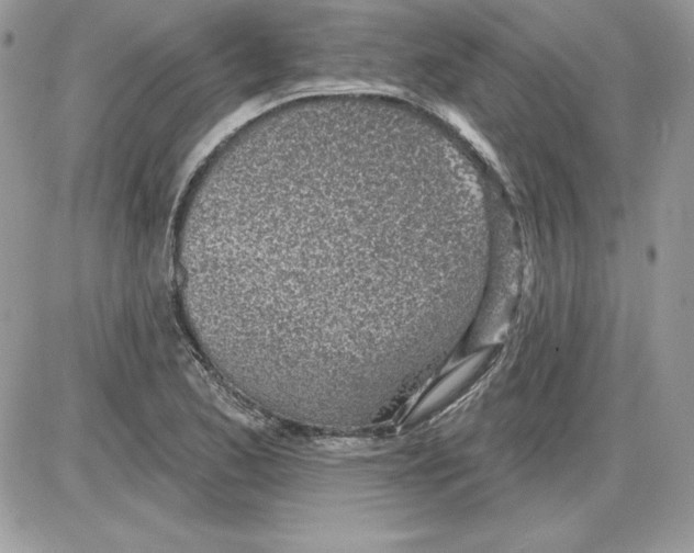 X0000085801173200704131913