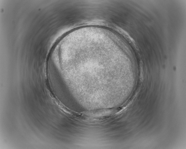 X0000085801174200704131913