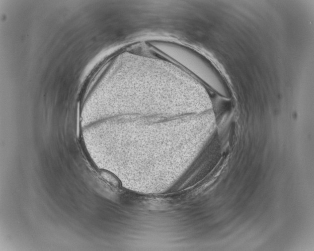 X0000085801175200704131913