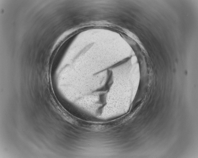 X0000085801176200704131913