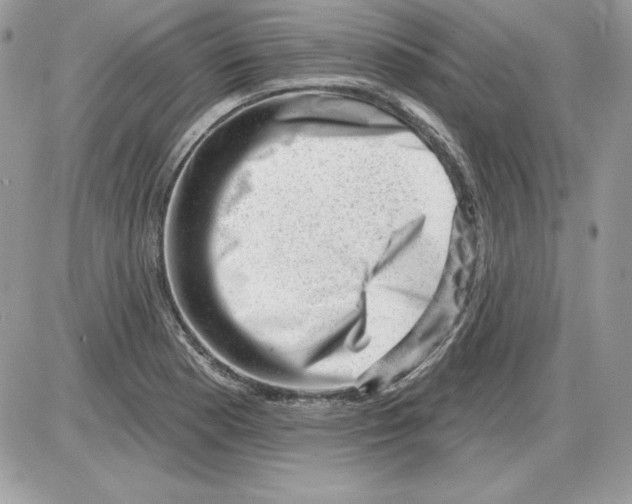 X0000085801177200704131913