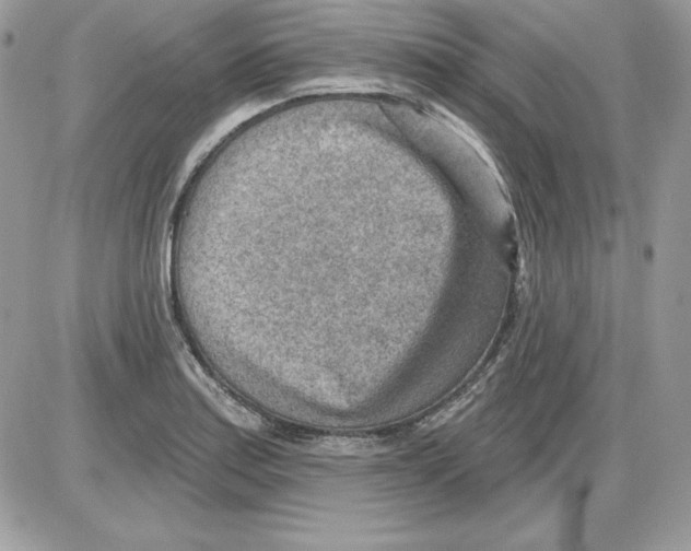 X0000085801179200704131913