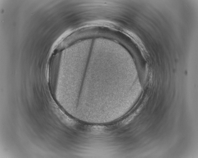 X0000085801180200704131913