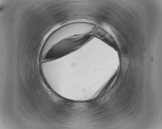 X0000085801181200704131913