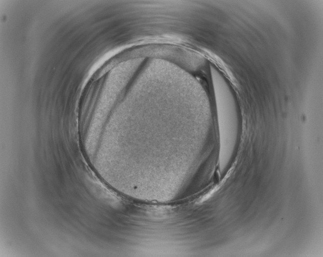 X0000085801184200704131913