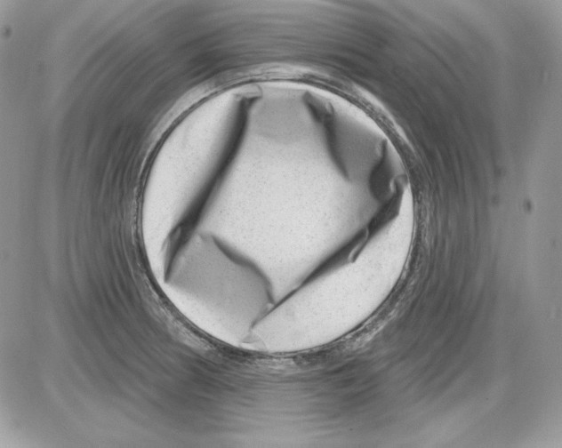 X0000085801186200704131913