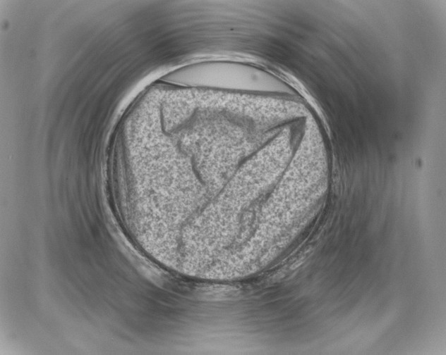 X0000085801187200704131913