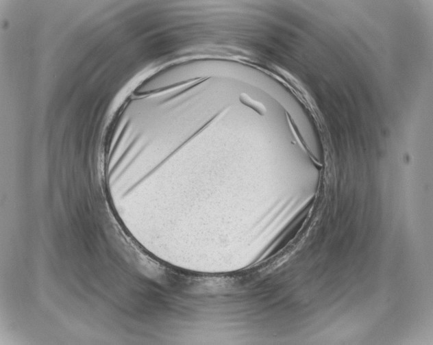 X0000085801188200704131913