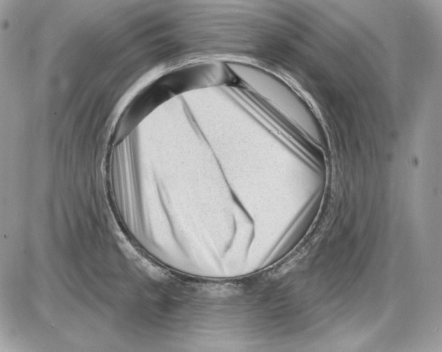 X0000085801189200704131913