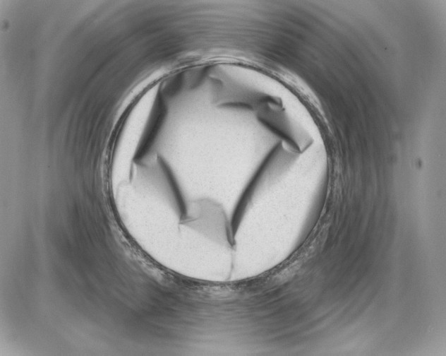 X0000085801190200704131913