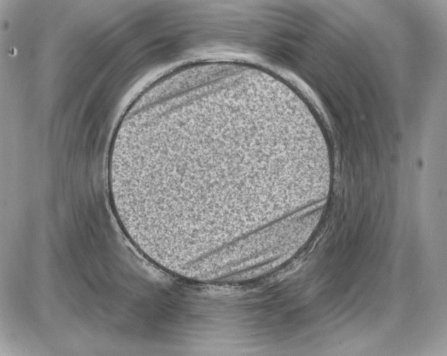 X0000085801191200704131913