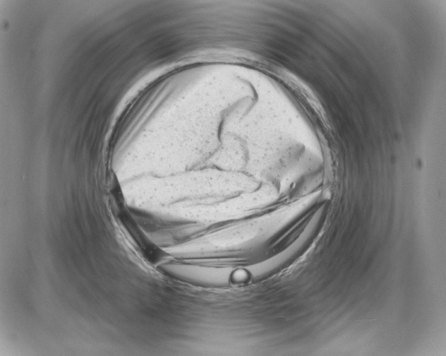 X0000085801192200704131913