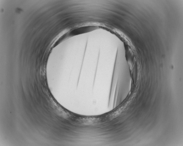 X0000085801193200704131913