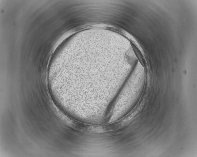 X0000085801194200704131913