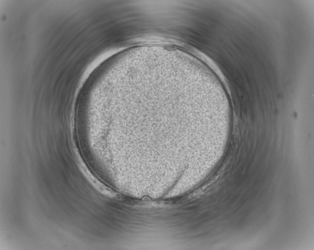 X0000085801195200704131913