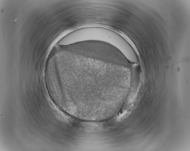 X0000085801197200704131913