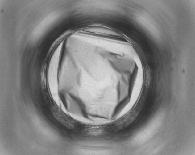 X0000085801198200704131913