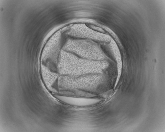 X0000085801199200704131913